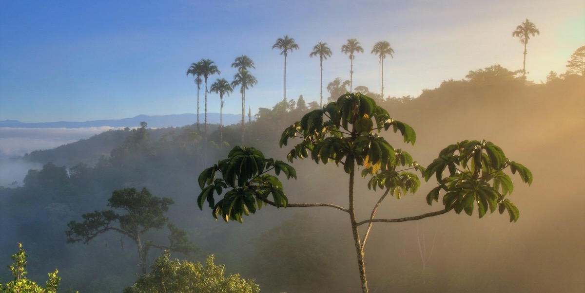 San Vito Costa Rica Top Gear Classic Car Rally