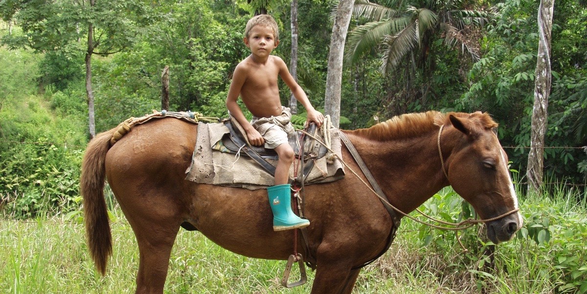 Tico on Horse Osa Peninsula Costa Rica