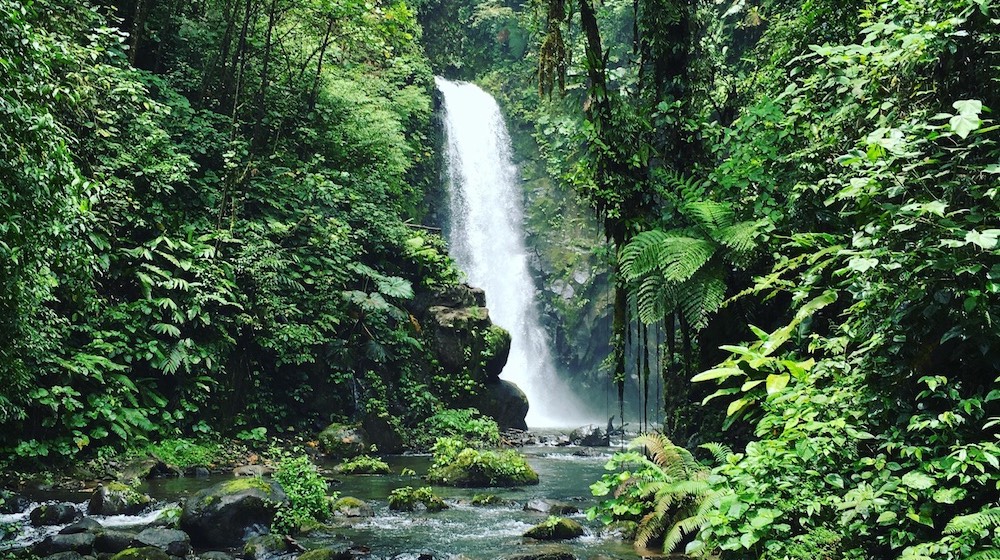 Waterfall Gardens Rally Costa Rica Touring Holidays